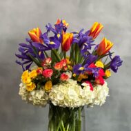 Blue Iris - beverlyhillsflorist