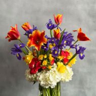 Blue Iris - beverlyhillsflorist