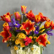 Blue Iris - beverlyhillsflorist