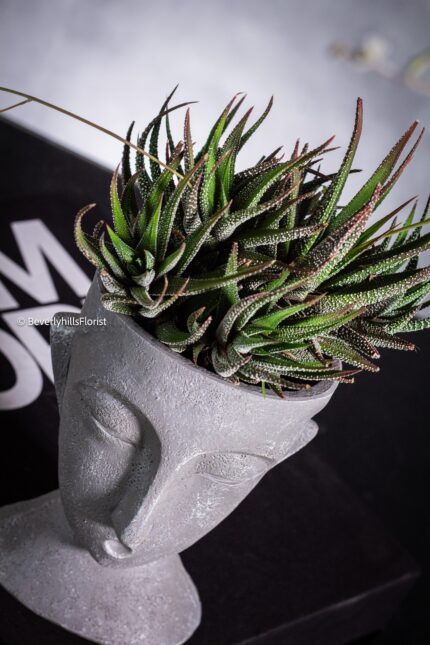 Face of Nature - beverlyhillsflorist