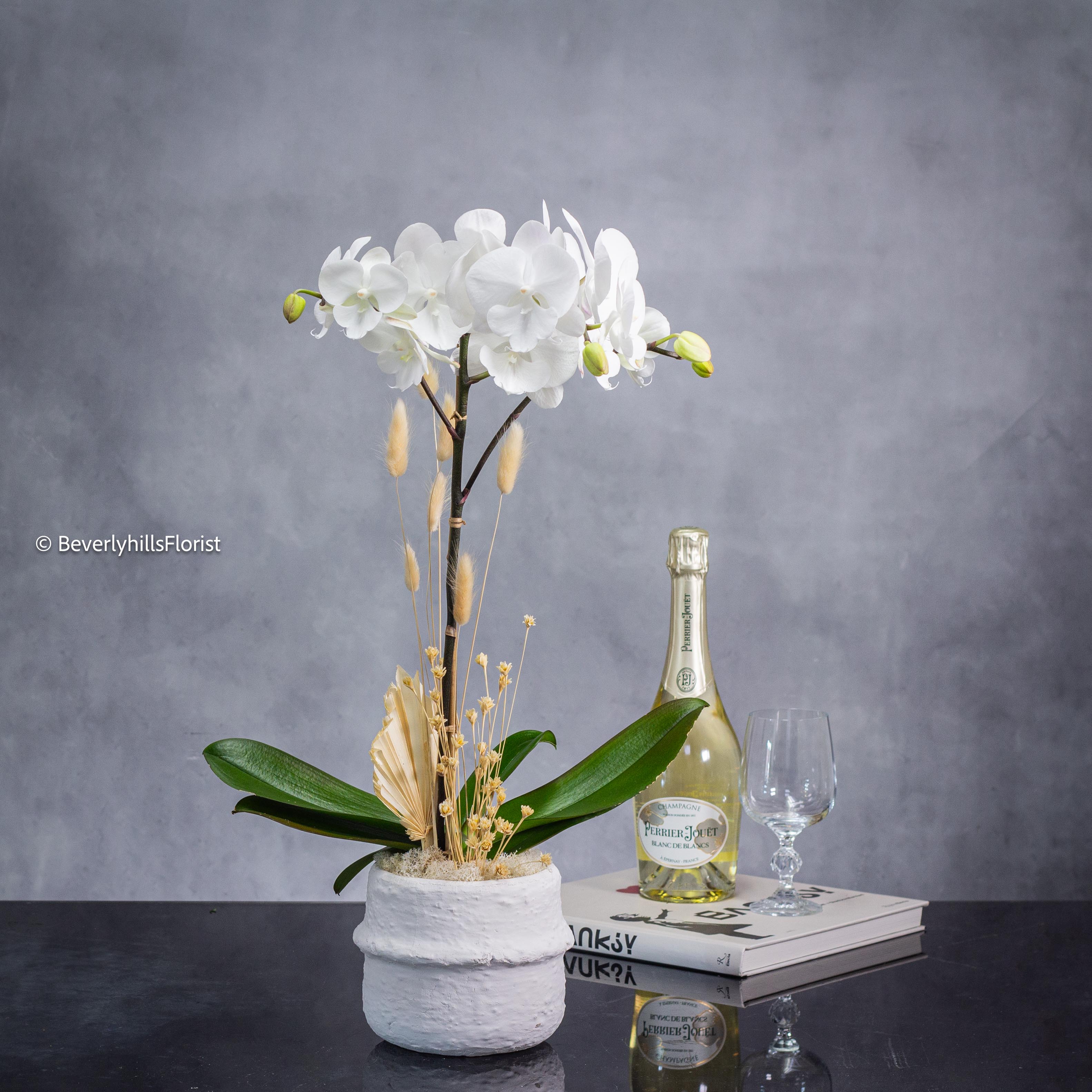 June8-Plants_Orchids_bouqets-42-1 Orchid Essence - beverlyhillsflorist