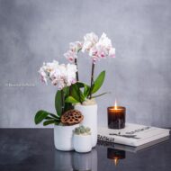 Step by Step - beverlyhillsflorist