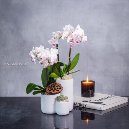 Step by Step - beverlyhillsflorist