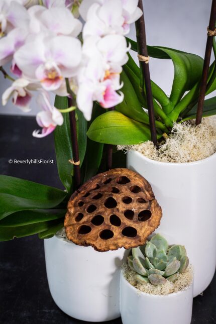 Step by Step - beverlyhillsflorist