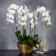 Golden Elegance - beverlyhillsflorist