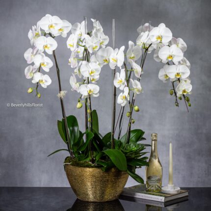 Golden Elegance - beverlyhillsflorist