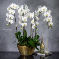 Golden Elegance - beverlyhillsflorist