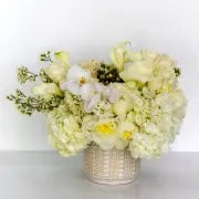 A stunning and sophisticated arrangement in whites and creams that is ideal for a myriad of occasions. Beverly Hills Florist offers same day delivery for our Mama arrangement. This superb and artfully arranged design includes large cream Roses, Hyacinths, Coffee beans, Callas, Orchids, Ranunculus, Hydrangeas, and seasonal flowers. Get well flowers, Birthday flowers, congratulation flowers