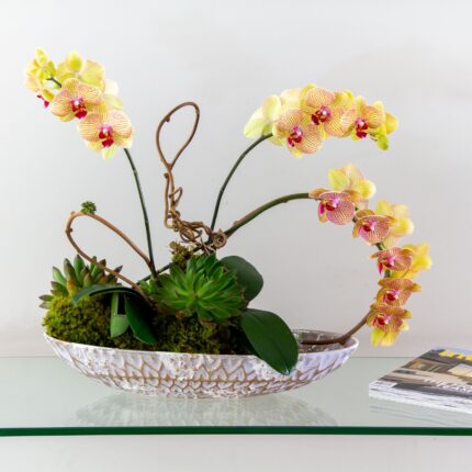 Abstract Orchids - beverlyhillsflorist