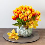 Tulip Fever - beverlyhillsflorist