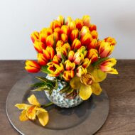 Tulip Fever - beverlyhillsflorist