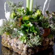 Whispers of Renewal: A New Year's Celebration with White Amaryllis and Hyacinth - beverlyhillsflorist