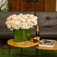 Blush Blossom Elegance - beverlyhillsflorist