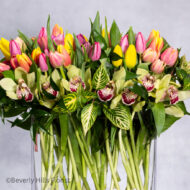 100 Colors of  Tulip Joy - beverlyhillsflorist