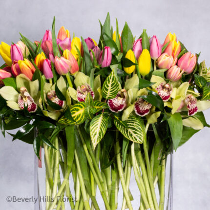 100 Colors of  Tulip Joy - beverlyhillsflorist