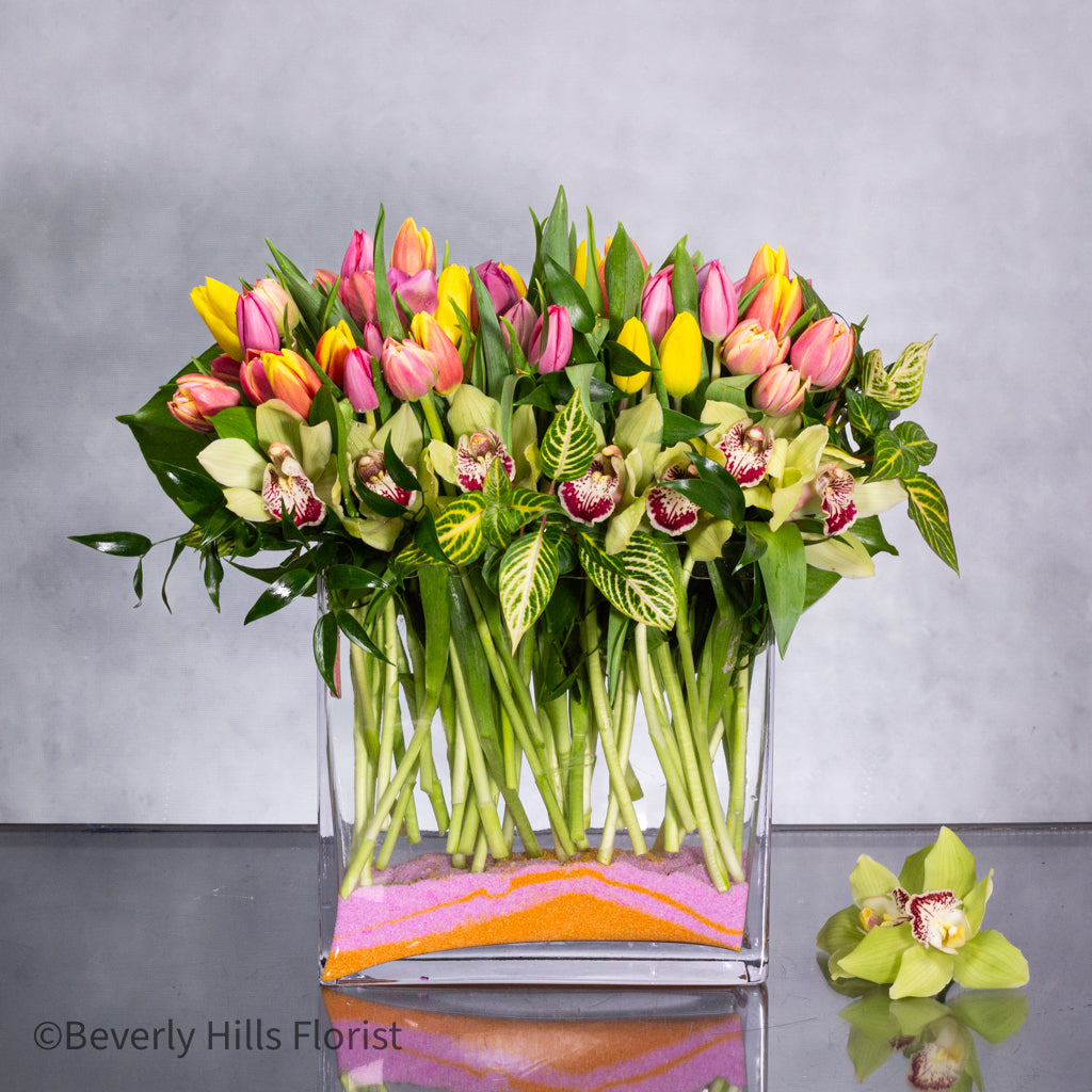 MG_9030 100 Colors of Tulip Joy - beverlyhillsflorist