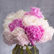 Test - beverlyhillsflorist