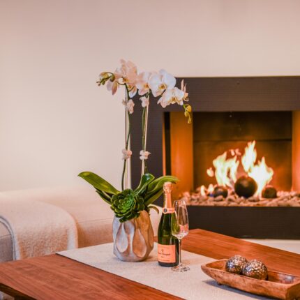 Orchid Grace - beverlyhillsflorist