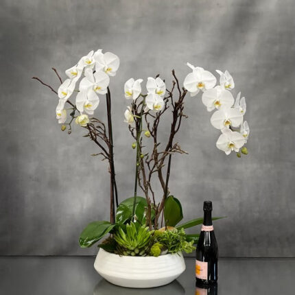 Elegant White Orchid Bowl - beverlyhillsflorist