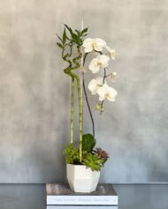 Golden Gate - beverlyhillsflorist