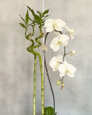 Golden Gate - beverlyhillsflorist