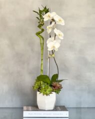 Golden Gate - beverlyhillsflorist