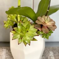 Golden Gate - beverlyhillsflorist