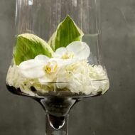 Orchid Bliss - beverlyhillsflorist