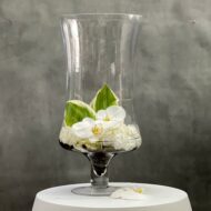 Orchid Bliss - beverlyhillsflorist