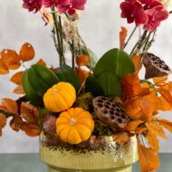 Falling Orchids - beverlyhillsflorist