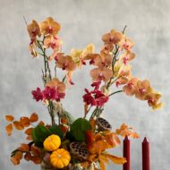 Falling Orchids - beverlyhillsflorist