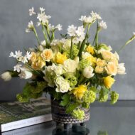 Paperwhites in the house - beverlyhillsflorist