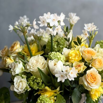 Paperwhites in the house - beverlyhillsflorist