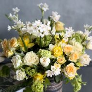 Paperwhites in the house - beverlyhillsflorist