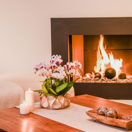 Pink Pearl Orchid - beverlyhillsflorist