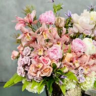 Cupucines - beverlyhillsflorist