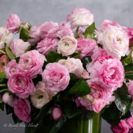 Modern Romance: Pink Ranunculus in a Cylinder of Grace - beverlyhillsflorist