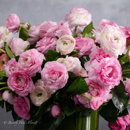 Modern Romance: Pink Ranunculus in a Cylinder of Grace - beverlyhillsflorist