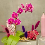 Sail away - beverlyhillsflorist