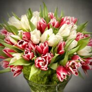 Radiance In Red - beverlyhillsflorist