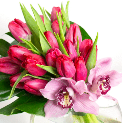 Tulip Temptation - beverlyhillsflorist