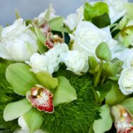 Emerald Fantasy - beverlyhillsflorist