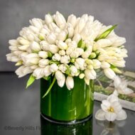 Tulip Fever - beverlyhillsflorist