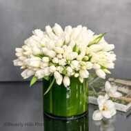 Tulip Fever - beverlyhillsflorist