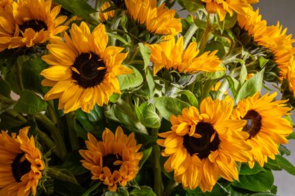 Falling for you - beverlyhillsflorist