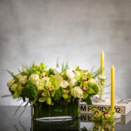 Green and White Goddess - beverlyhillsflorist