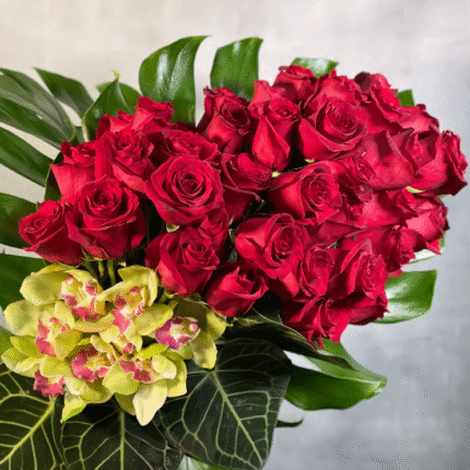 A Chic Symphony with 4 dozen Red Ecuadorian roses and cymbidium orchids in a circular vase, luxury same-day delivery by Beverly Hills Florist.