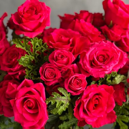 A Moment In Time arrangement with hot pink Ecuadorian roses and scented geraniums in a modern design, available for same-day delivery by Beverly Hills Florist.