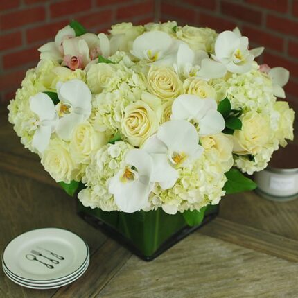 Ivory Chiffon - beverlyhillsflorist