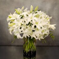 White Casablanca In A Vase - beverlyhillsflorist